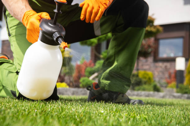 Best Mosquito Control Services  in Tipton, MO