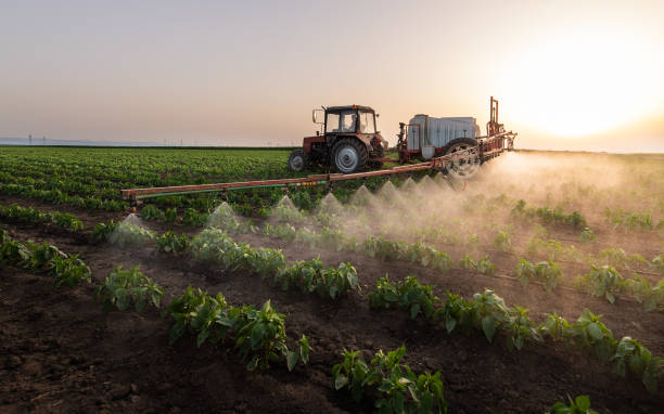 Best Pest Control for Businesses  in Tipton, MO