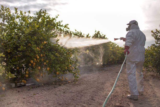 Best Best Pest Control Companies  in Tipton, MO