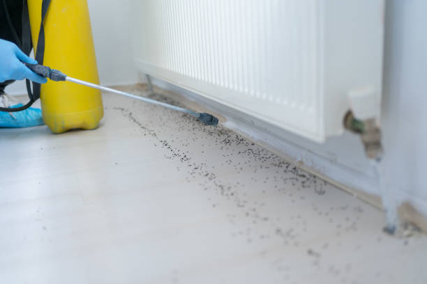Tipton, MO Pest Control Company